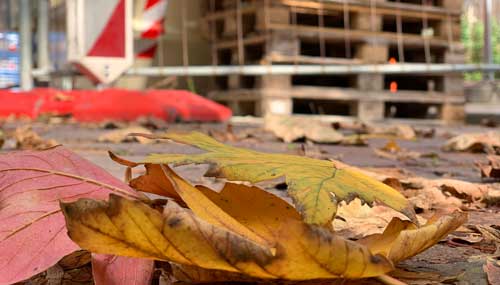 Vor einer Baustelle liegt Herbstlaub auf dem Boden.